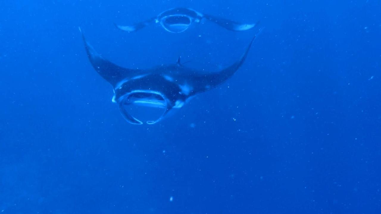 La Luna Boutique Dhangethi Eksteriør bilde